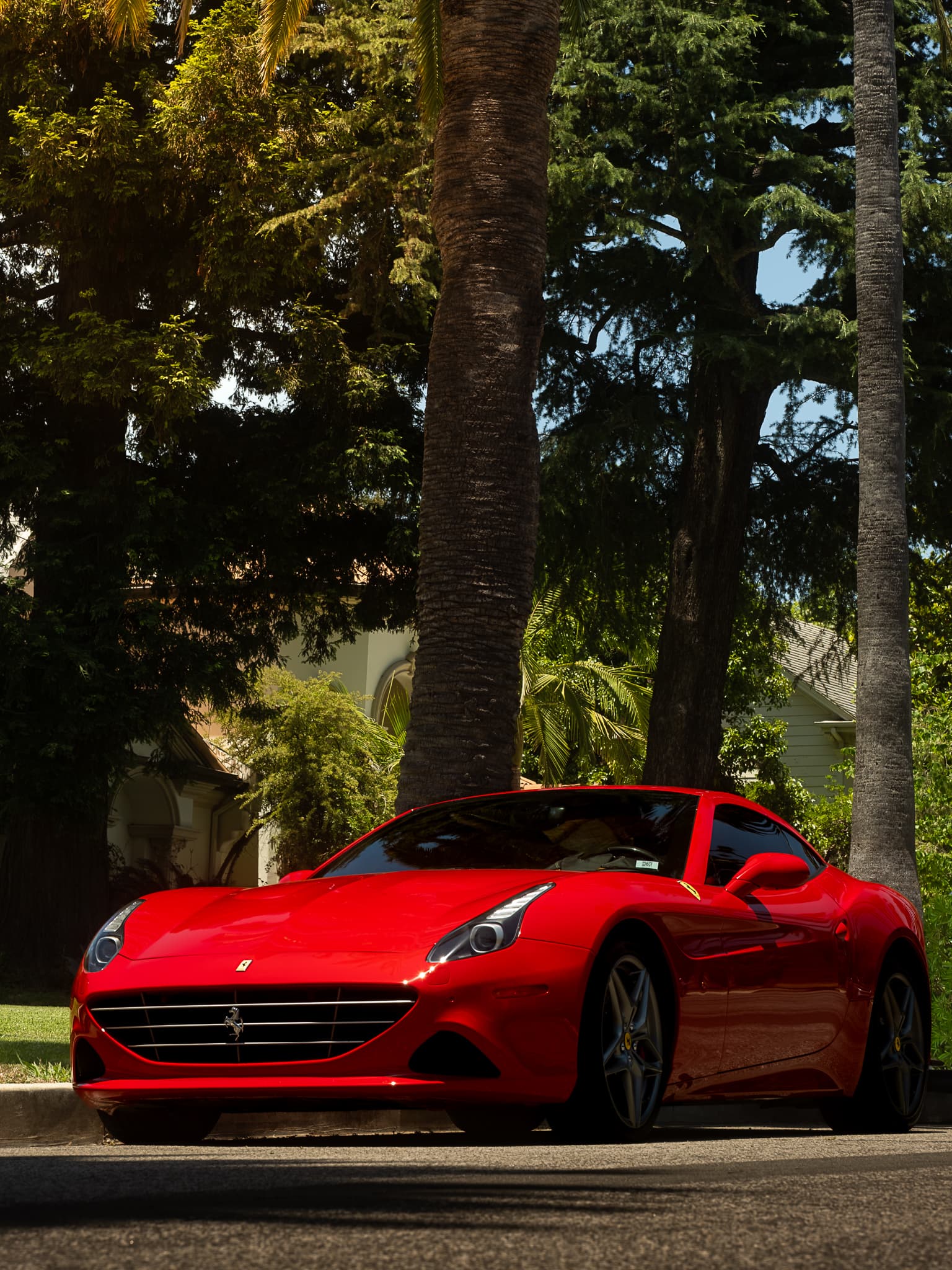 Detailing Portfolio 1